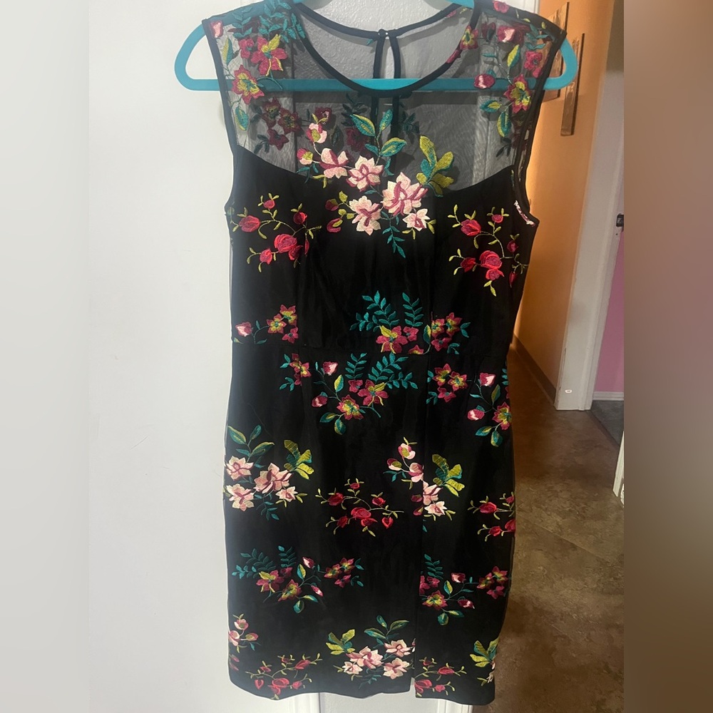 NWT HUTCH brand dress